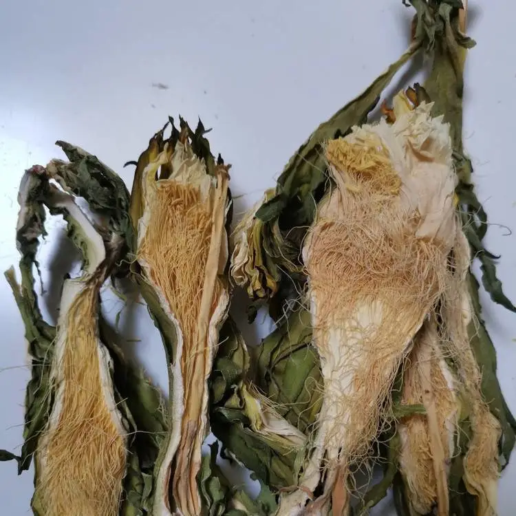 野生昙花 剑花 琼花得到