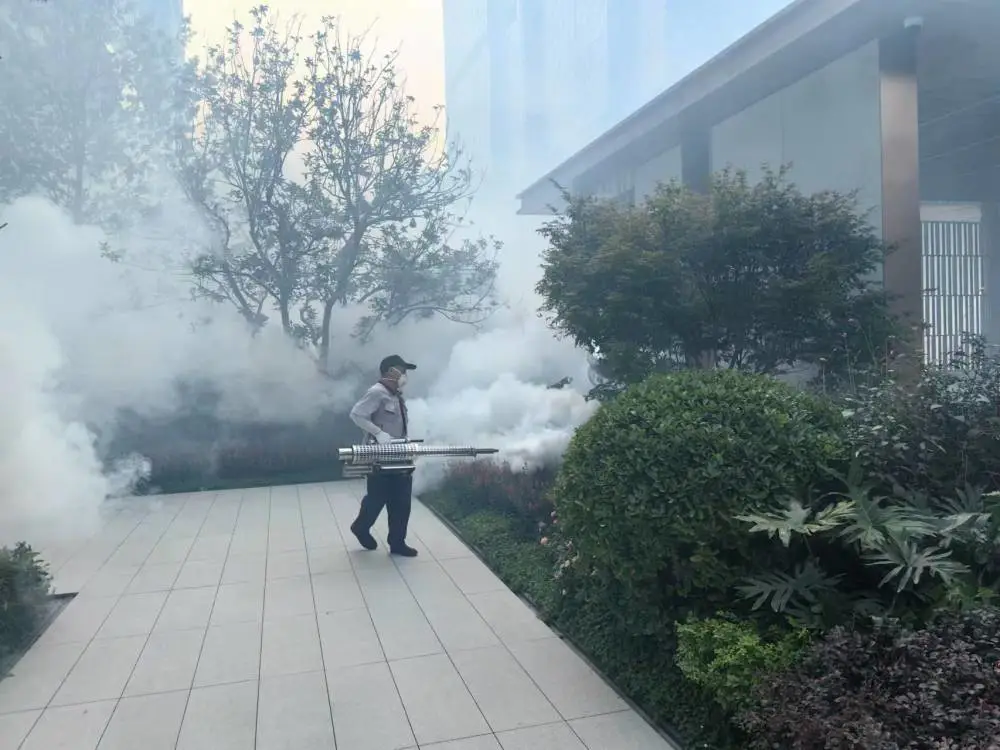 武侯区库房除老鼠公司,成都白蚁中心,成都除虫公司