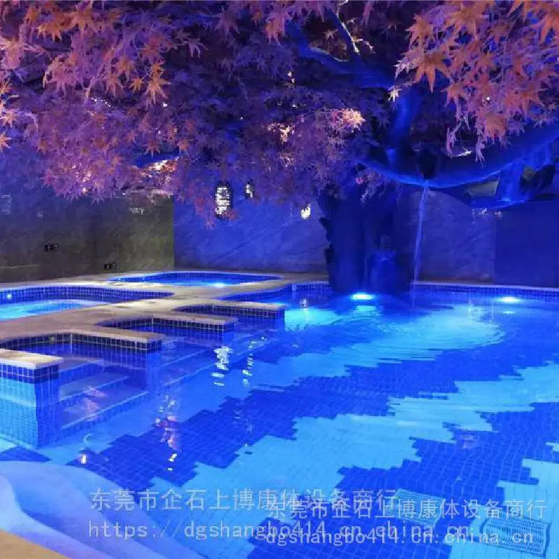萍乡恒温泳池设备 游泳池水处理空气能加热设备供应