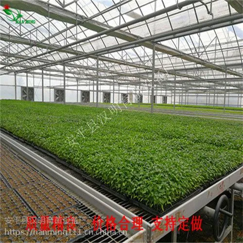 经营生产移动苗床-安平汉明温室苗床强烈推荐