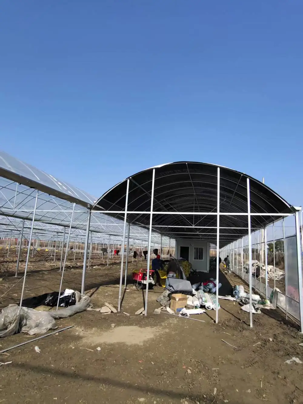 蔬菜大棚管 镀锌大棚管 温室大棚 养殖大棚 育苗连栋棚 内外遮阳连栋大棚 湿帘风机连栋大棚 玻璃温室大棚 农用大棚l
