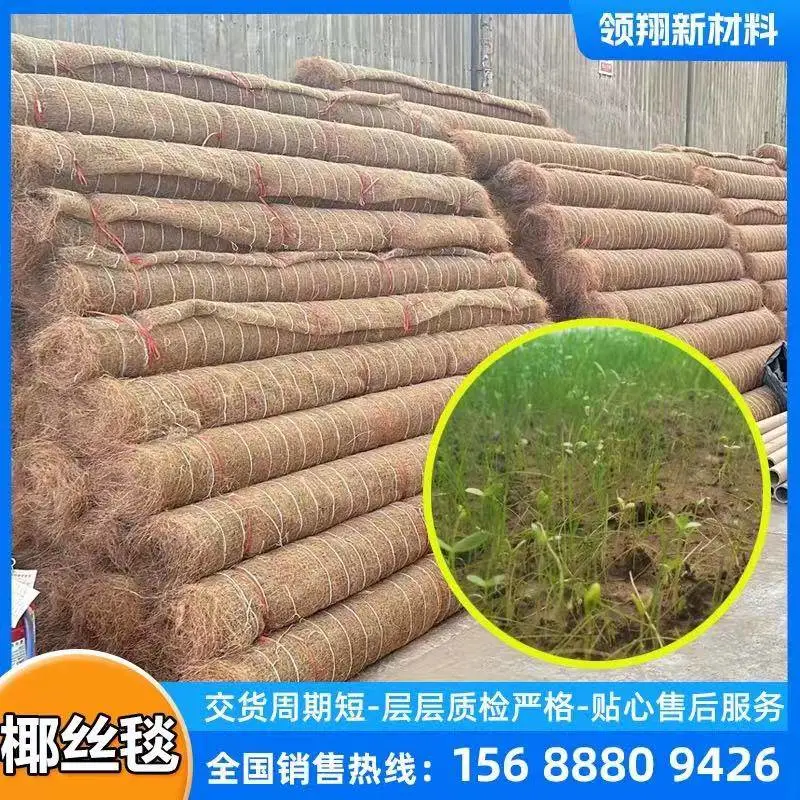 黄麻网护坡毯 植草椰丝毯，抗冲生态毯 绿化水土植生毯 质量优