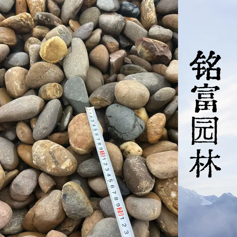 大亚湾需要什 么尺寸的鹅卵石呢 惠 阳110千伏输变电站5-8公分鹅卵石
