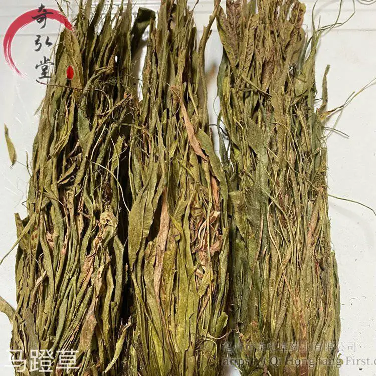 供应中药马蹬草 马蹬草厂家销售