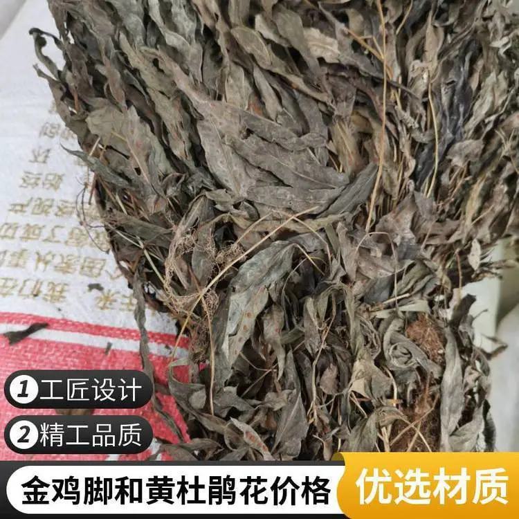金鸡脚/鸭脚金星草/鹅掌金星草野生原药材高山采挖全国包邮奇弘堂