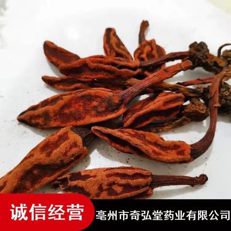 奇弘堂药用回春草_野生不老草_药材回春草出售