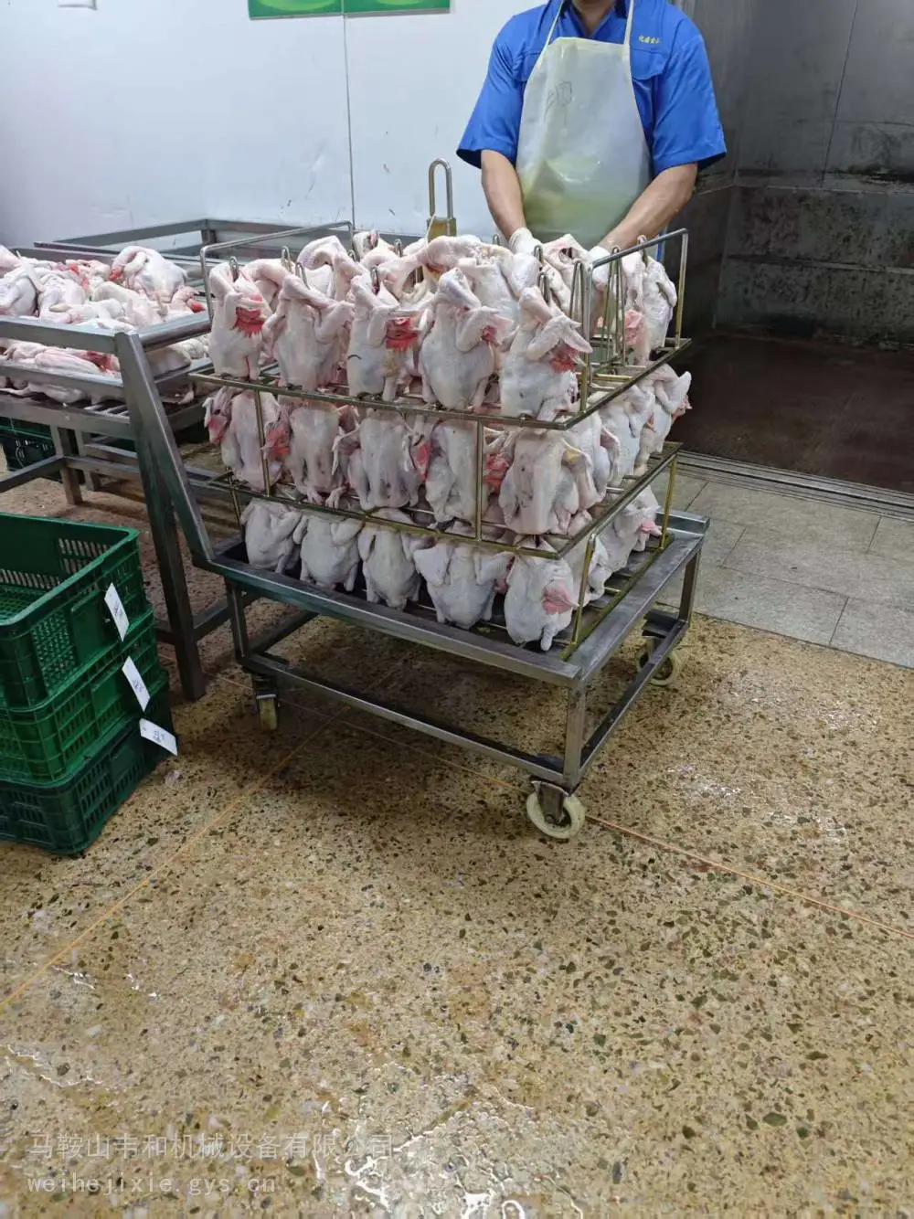 鸡屠宰设备 鸭子宰杀设备 鹌鹑屠宰流水线 宰乳鸽机械生产线
