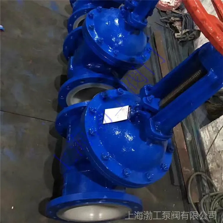 衬氟闸阀