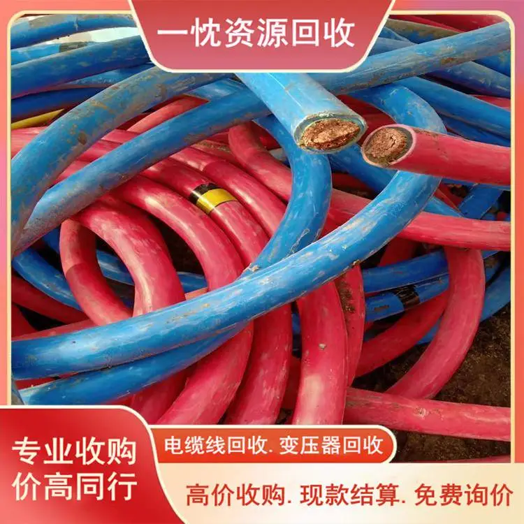 昭 通珠江电缆回收 3x400高压电缆回收 当场付清