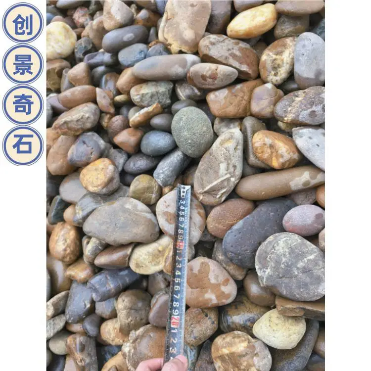中山南头大型鹅卵石货场 南头杂色鹅卵石基地 南头鹅卵石污水处理厂