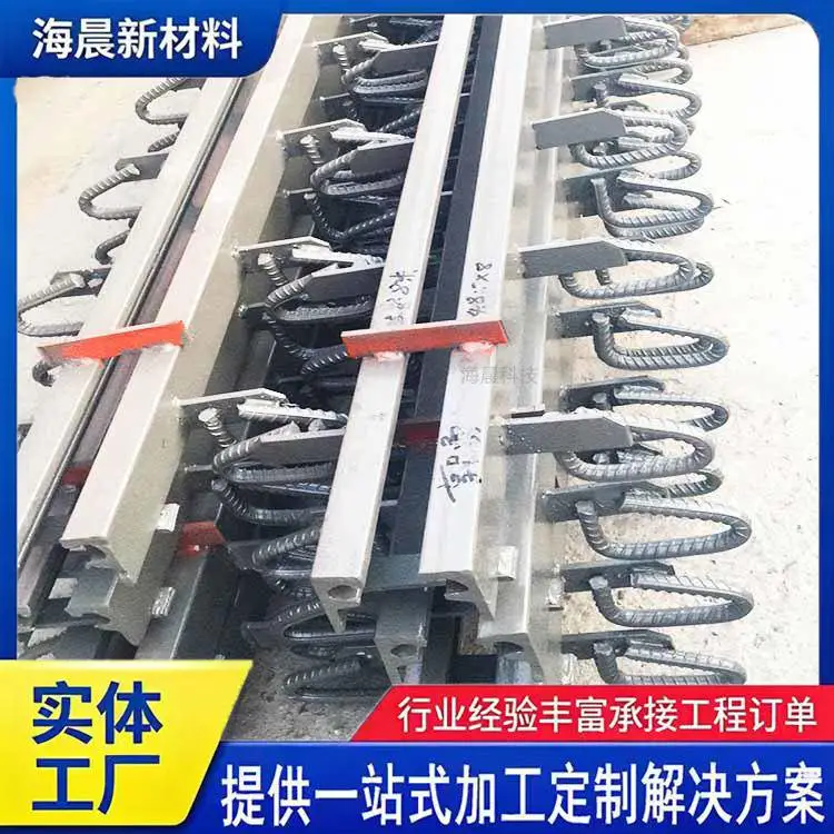 D80型型钢桥梁伸缩缝 模数式伸缩装置易于安装 海晨