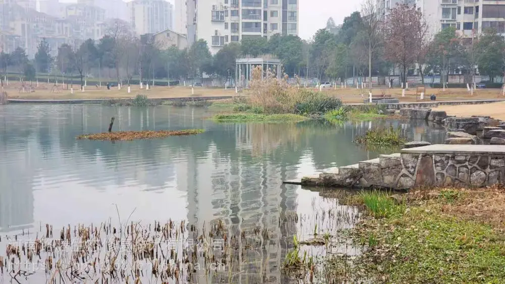 泰州黑臭水体底泥原位生态修复底质改良剂