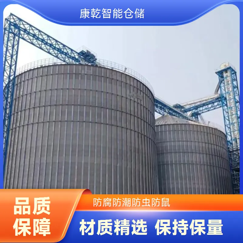 康乾智能 50吨玉米钢板仓 粮食储存仓 散粮储存 规格齐全