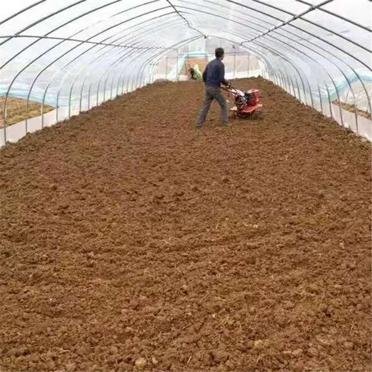 ��������΢���� 19���¿�΢�������� С�������������178���ػ�������Ǯ