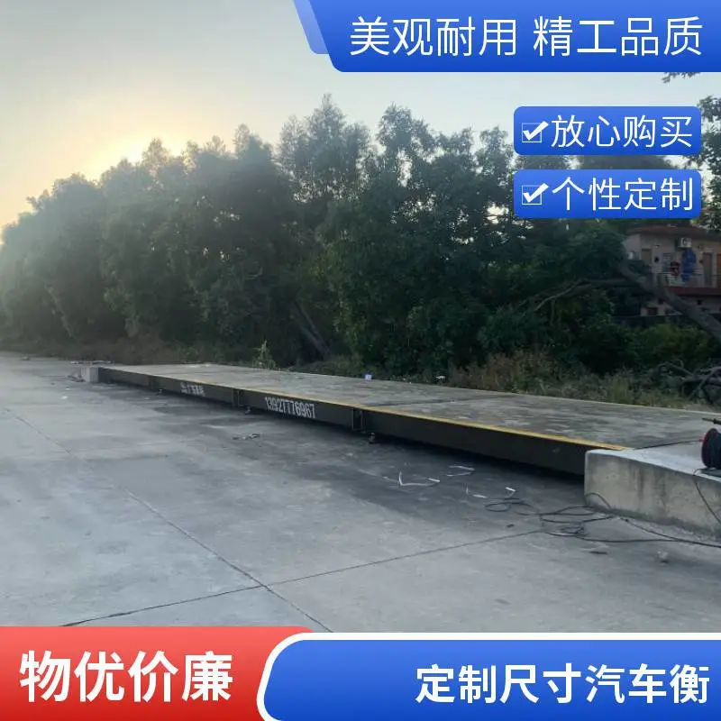 地磅 1-200吨惠州直销 废物回收站垃圾场用可定做尺寸