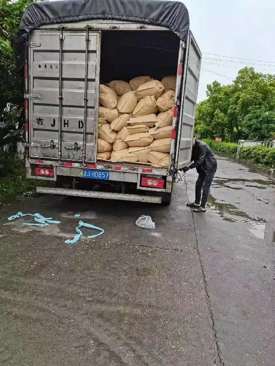 �𻪽�������������������