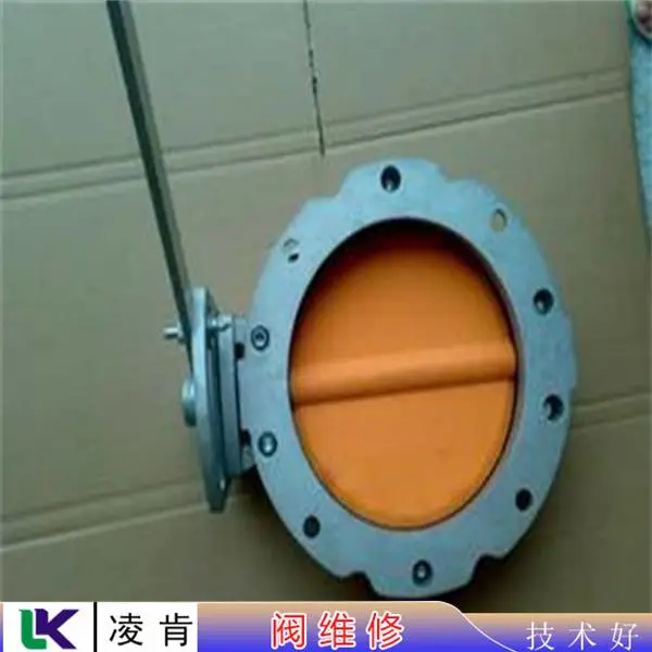 2024MOOG伺服阀维修成功***
