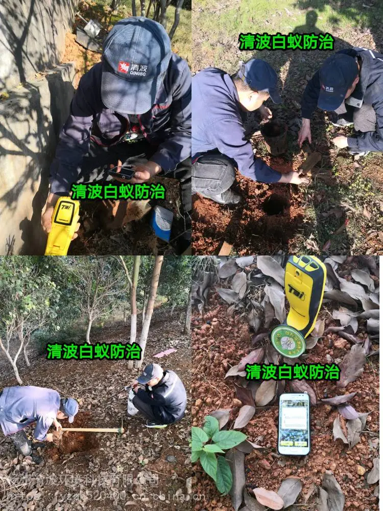 丹阳灭白蚁公司|扬中灭白蚁公司|句容灭白蚁公司|丹阳防白蚁公司|扬中防白蚁公司|句容防白蚁公司