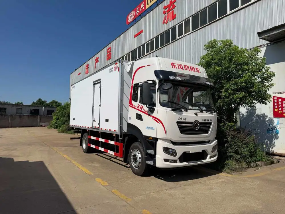 新能源疫苗冷链车冷链运输车雪糕冷饮油耗低果蔬生鲜轻量化设计