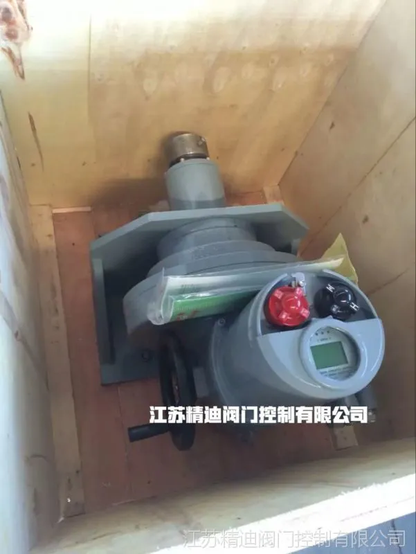 DZW30+WK一体化型电动装置