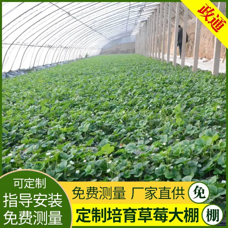 江西宜春钢管大棚骨架维修换膜