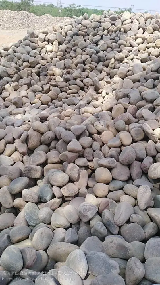 山东鹅卵石变压器鹅卵石大小天然鹅卵石生产厂家