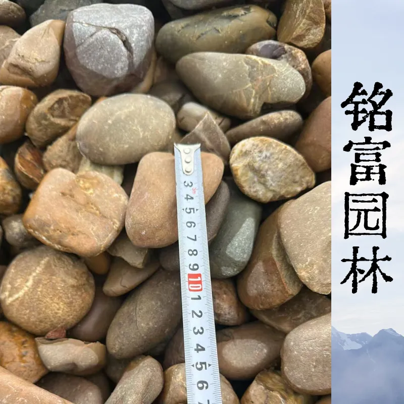 黄 浦区新龙镇5-8公分鹅卵石，5-8公分鹅卵石自卸车