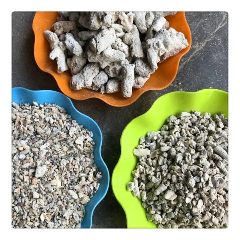 海滨供应珊瑚砂 造景珊瑚砂 养殖用珊瑚砂