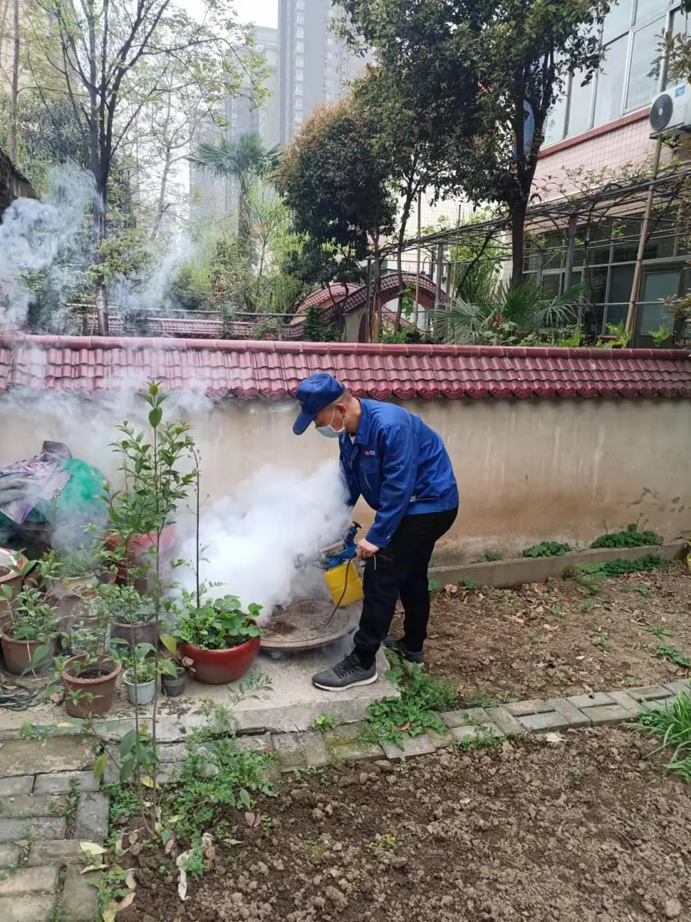 西安灭鼠公司 西安灭蟑螂公司 西安消杀公司碧洋虫控为您提供***的服务