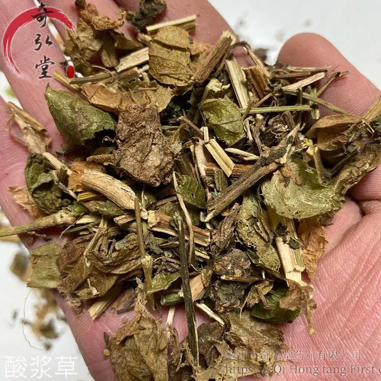 中药材酸浆草-酸浆草今日报价
