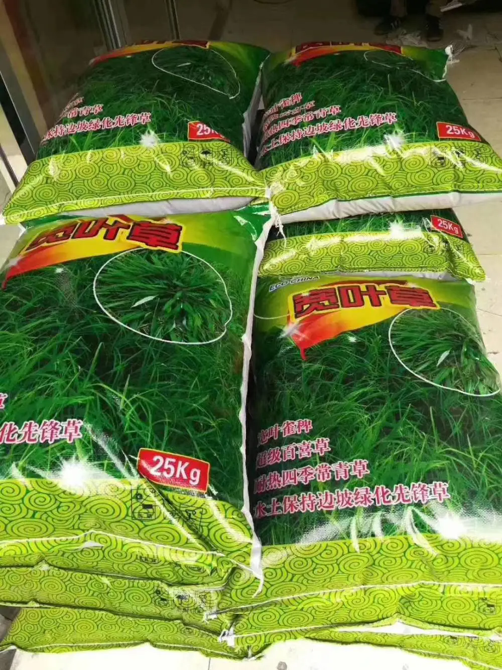 福禄考黄菖蒲花子玩具向日葵花种籽耧斗菜沙蒿草籽山樱桃榆叶梅