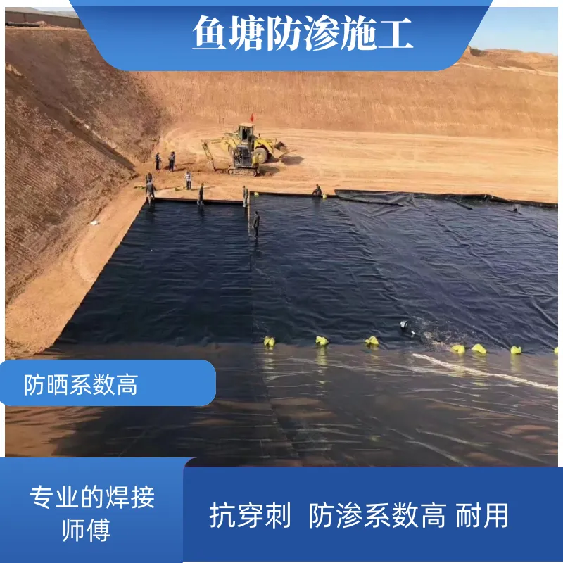 医院固体废弃物土工膜 单柱点 土工 膜 养鱼专用膜 防护性优越