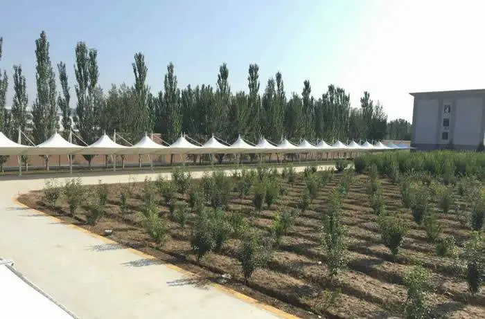 河北廊坊霸州收费站膜结构PTFE膜结构施工