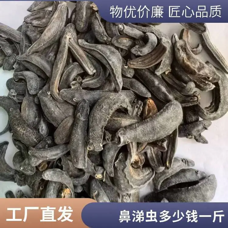 出售野生高质量鼻涕虫/蛞蝓无杂质批发零售奇弘堂