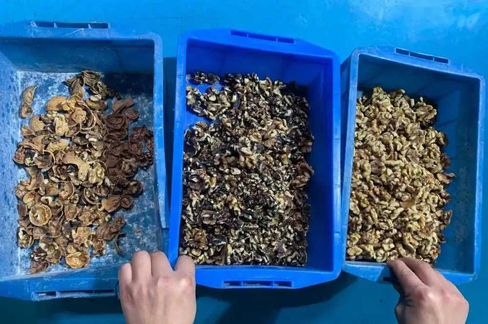名德光电核桃仁AI智能分选机,AI智能分选机厂家