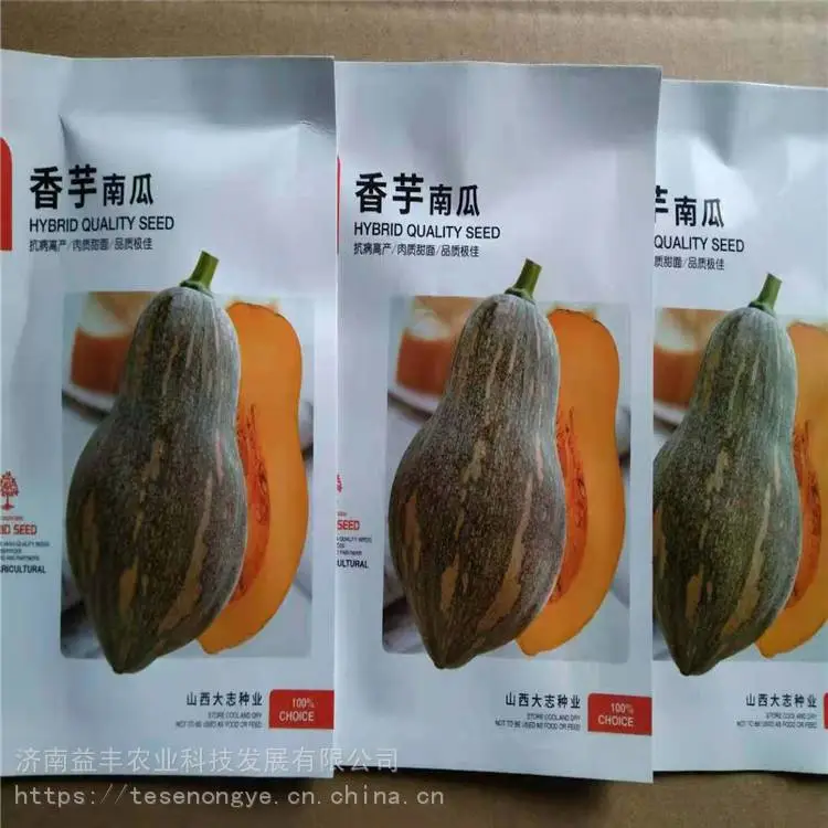 香芋南瓜种植技术 南瓜种子价格 现货供应 益丰种业