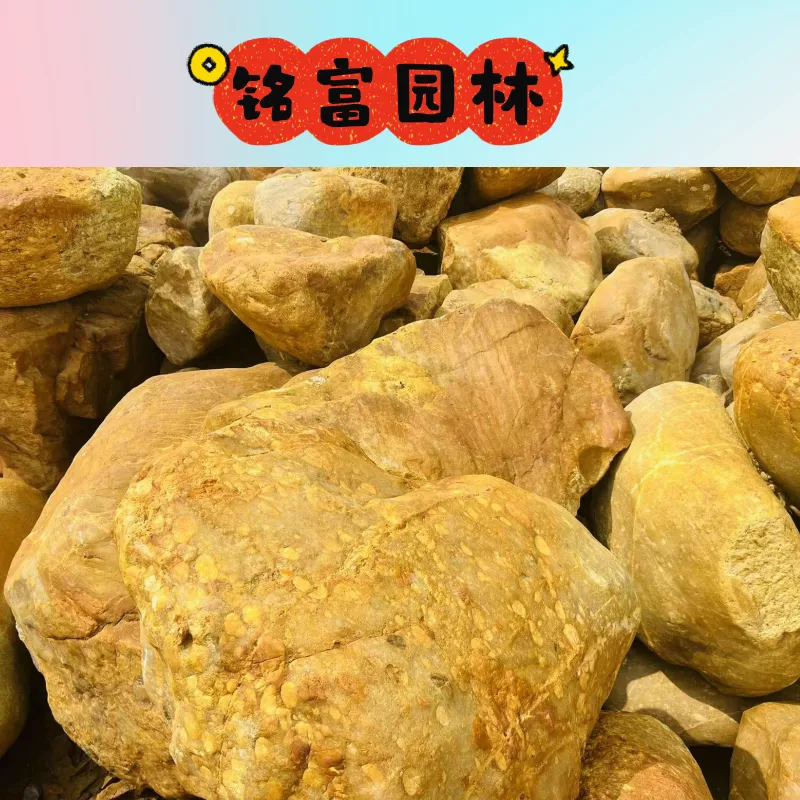 杭 州黄蜡石去哪 里购买，杭 州黄蜡石交易市场，浙 江哪 里有黄蜡石