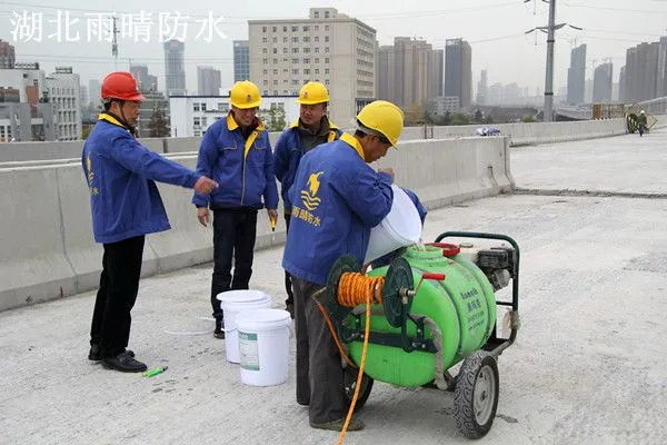 水池专用多功能弹性防水涂料复合防腐涂料25kg/桶