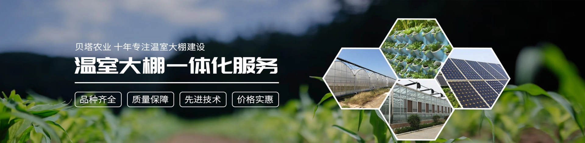寿光贝塔农业科技有限公司