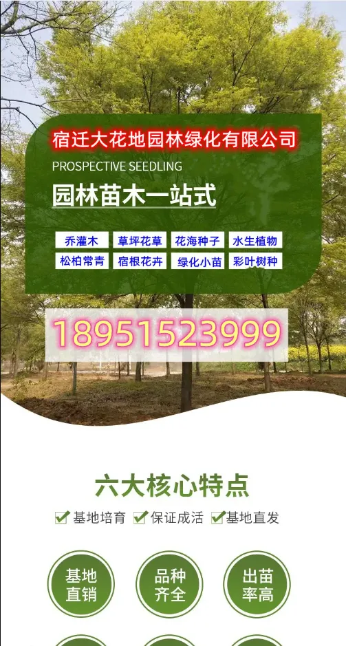 20260314/image/gpmocwfhvt6gy4b7yu71if.png