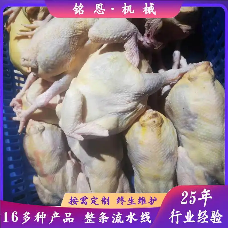 猪肉解冻库 牛脊骨低温高湿缓化设备 蒸汽解冻库 铭恩