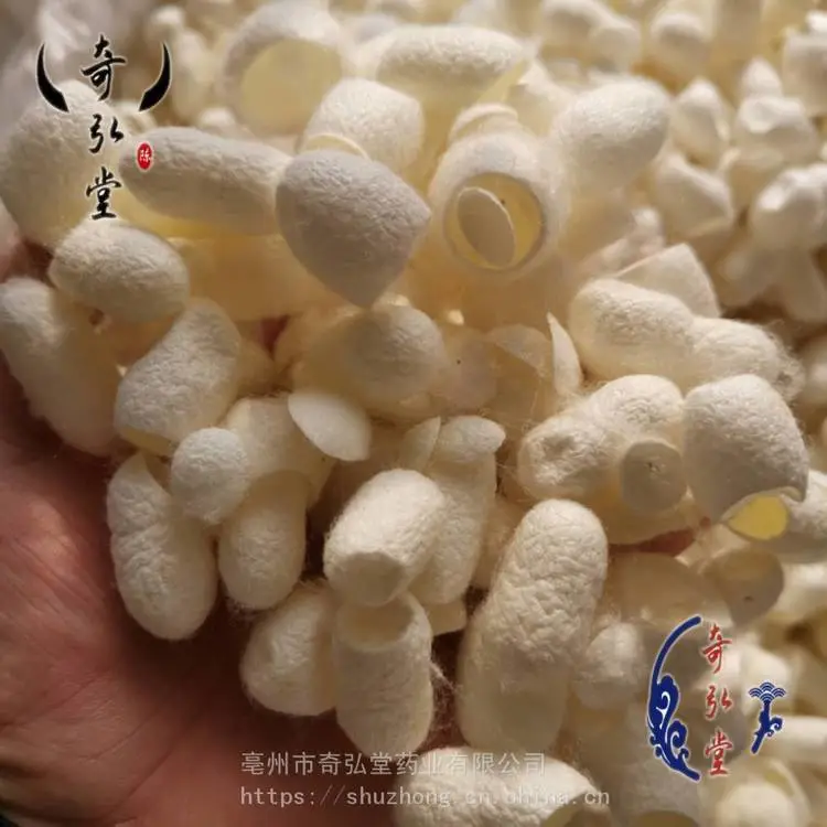 奇弘堂蚕茧 蚕蛹 蚕沙 蚕衣产地批发