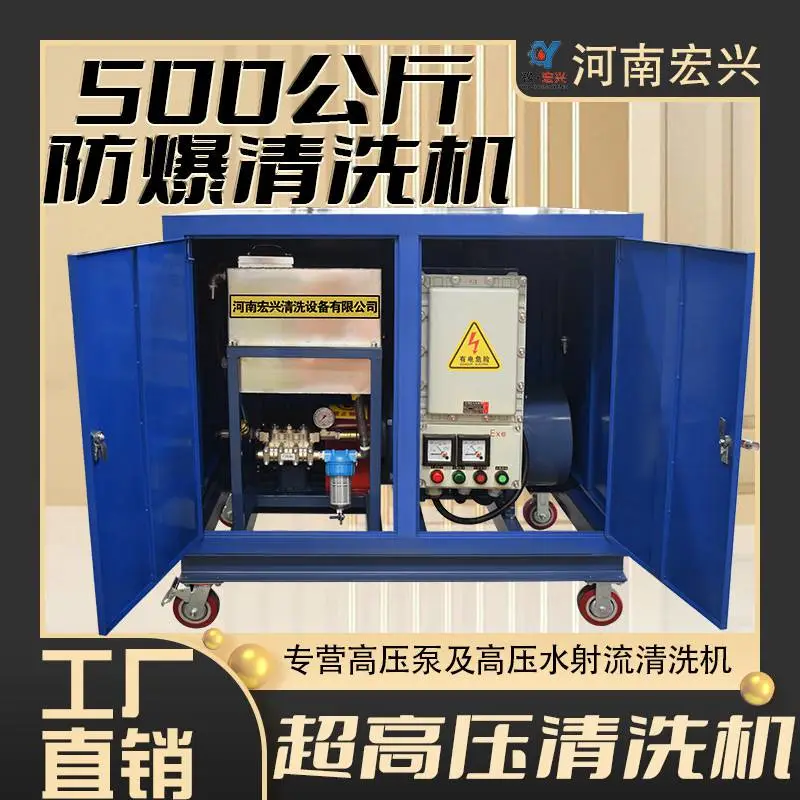 冲毛机 500公斤工业用电机驱动荔枝面高压清洗机