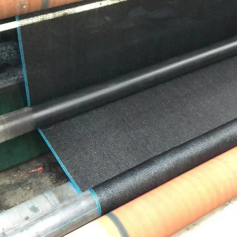 农用大棚防晒网 黑色 养殖业遮阳网 ***耐用 厂家发货