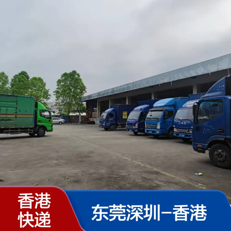 出大货比顺丰便宜物流服务东莞到香港快递专线送货到门入仓