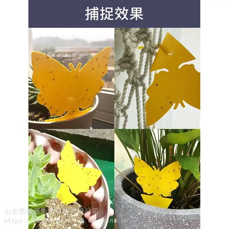 诱蝇球和诱虫板 桃园用诱虫板 针蜂粘虫板 慕春源