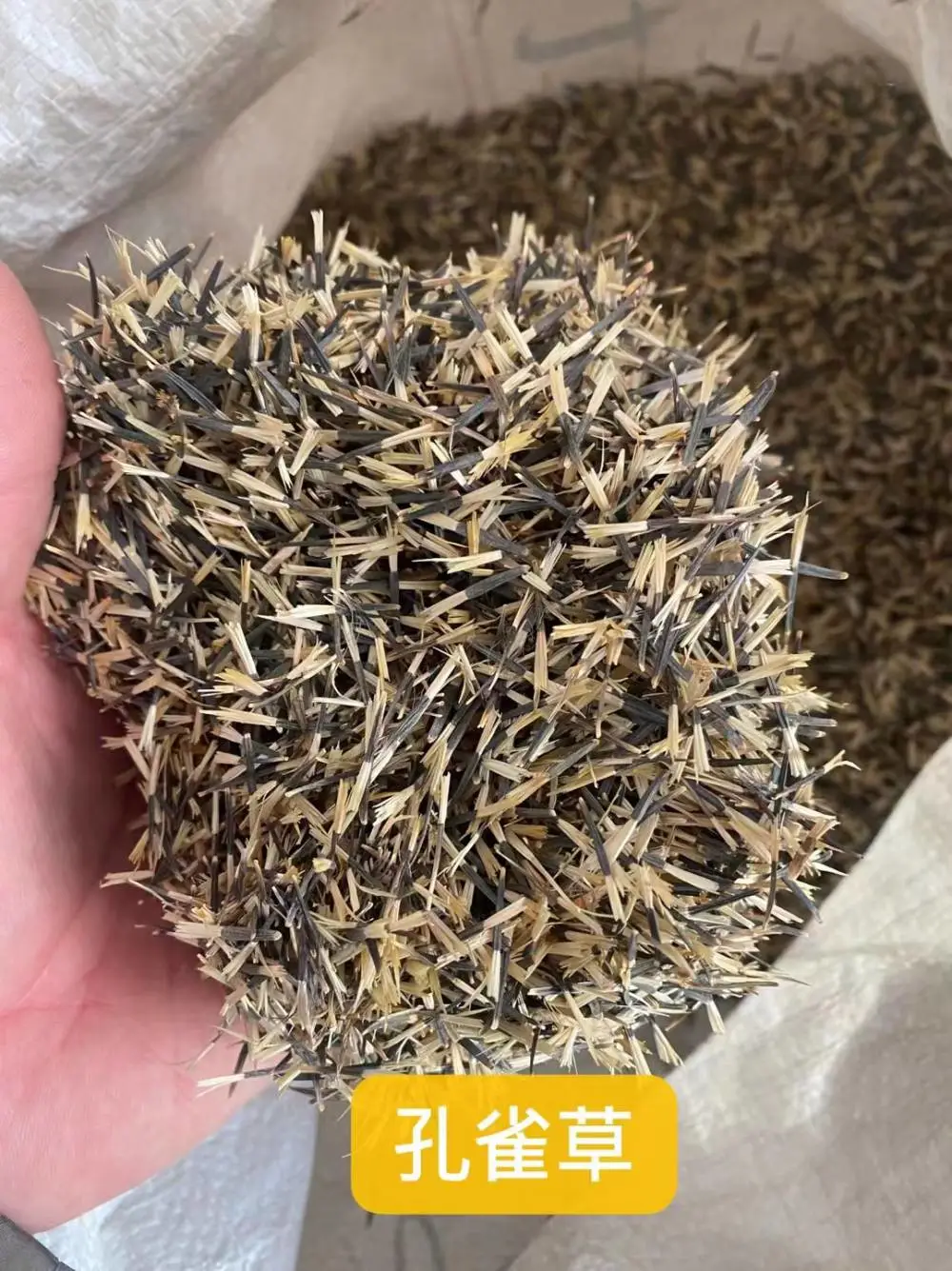 进口天堂草籽结缕草种子箭舌豌豆柠条平枝荀子鹅耳枥枇杷