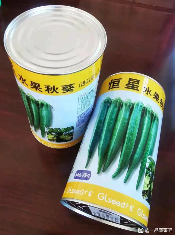 杂交一代恒星水果秋葵种子,果色浓绿，蒴果五角，结果节位低
