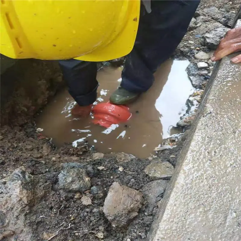 专业供应临邑地区管道查漏测漏检测服务