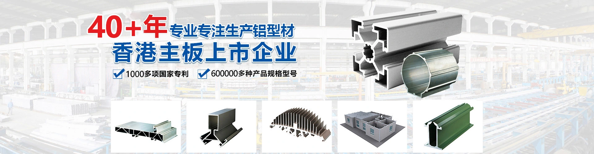 广东兴发铝业有限公司